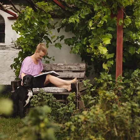 Dambaekgaard Sustainable Farm *