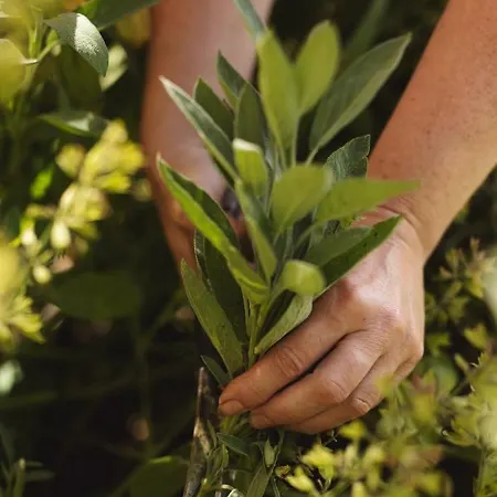 Dambaekgaard Sustainable Farm * Harlev (Stevns)