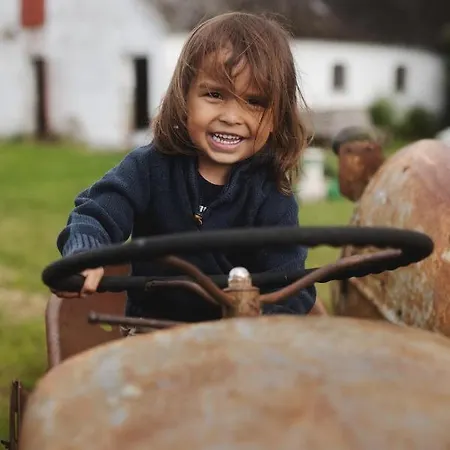 Alloggio per agriturismo Dambaekgaard Sustainable Farm