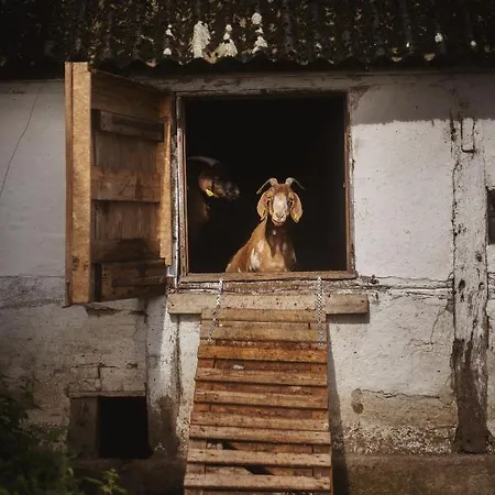 Dambaekgaard Sustainable Farm *