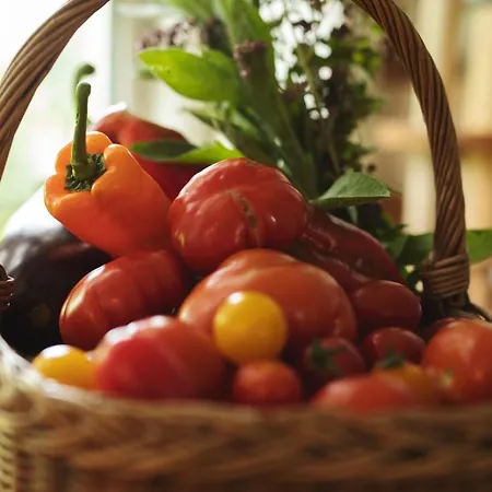 Dambaekgaard Sustainable Farm Farm stay *