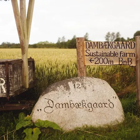 Dambaekgaard Sustainable Farm * Harlev (Stevns)