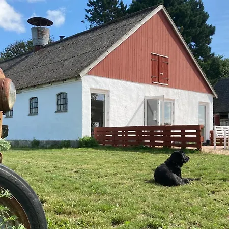 Dambaekgaard Sustainable Farm Harlev (Stevns)