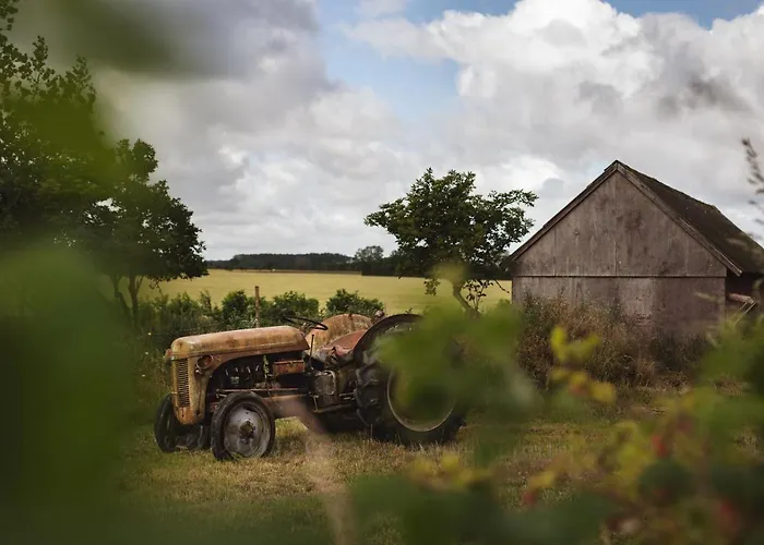 Dambækgaard Sustainable Farm Harlev (Stevns)