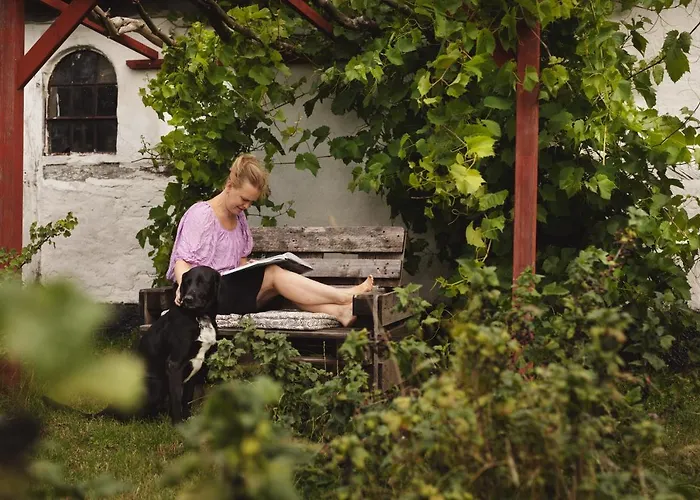 Dambaekgaard Sustainable Farm *