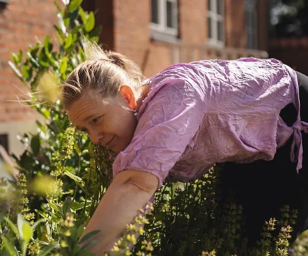 ファームステイ Dambaekgaard Sustainable Farm Harlev (Stevns)
