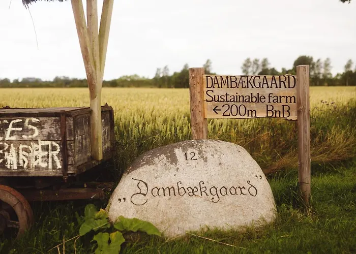 Dambækgaard Sustainable Farm * Harlev (Stevns)